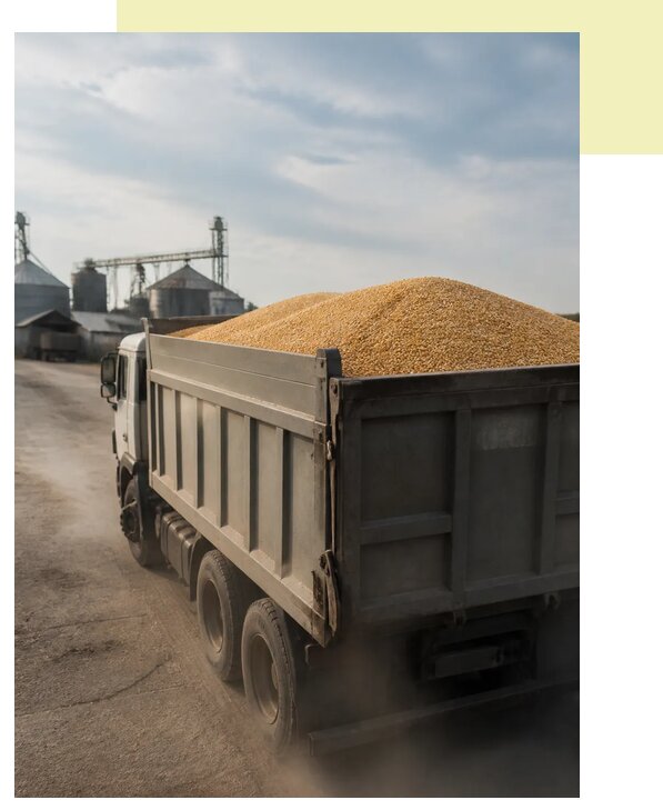 Перевозка сельхозпродукции навалом в Красноярск по цене от 3048 р. | Агросервис-Крс